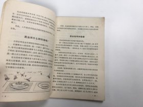 科学小实验：动物 1