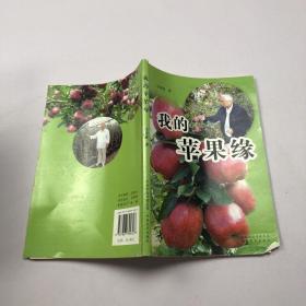 我的苹果缘