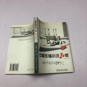 中国先锋小说20家男作家卷