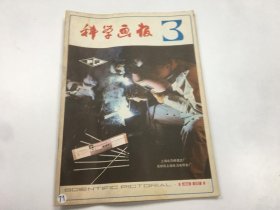 科学画报 1981年第3期