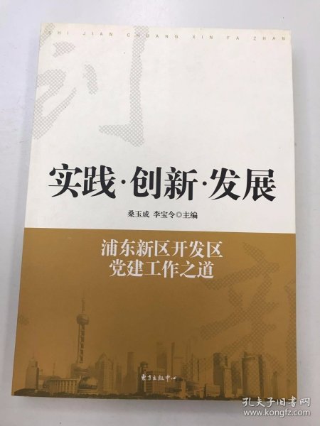 实践·创新·发展：浦东新区开发区党建工作之道