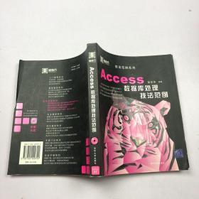 Access数据库处理技法范例