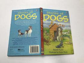 Stories of DOGS