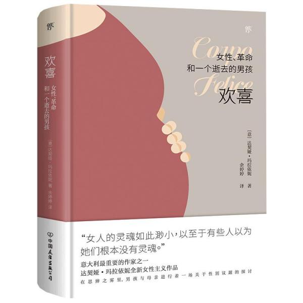 欢喜：女性、革命和一个逝去的男孩（诺贝尔文学奖热门提名作家女性主义作品）