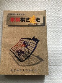 象棋棋艺速进/刘殿中 北京体育大学出版社