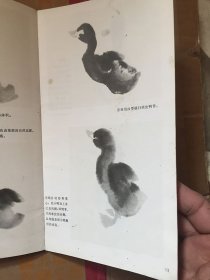 娄师白画鸭