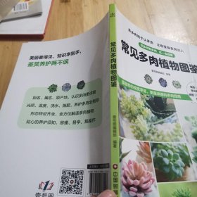 常见多肉植物图鉴