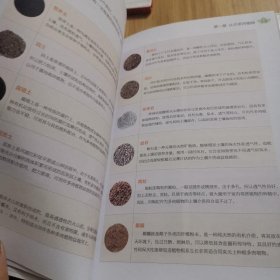 常见多肉植物图鉴