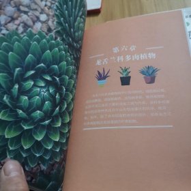 常见多肉植物图鉴