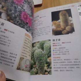 常见多肉植物图鉴