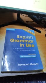 ENGLISH GRAMMAR IN USE