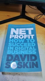 NET PROFIT HOW TO SUCCEED IN DIGITAL BUSINESS