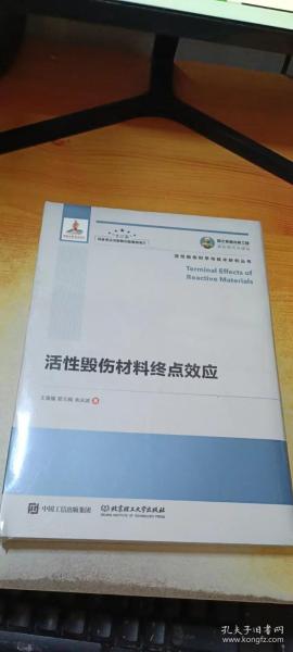 国之重器出版工程 活性毁伤材料终点效应