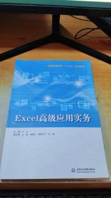 Excel高级应用实务