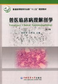 兽医临床病理解剖学（第2版）/普通高等教育农业部“十二五”规划教材