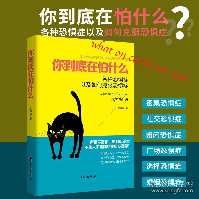 吴婉绚:你到底在怕什么 各种恐惧症以及如何克服害羞与社交焦虑症恐惧症障碍心理学书籍惧动力走出孤独与内心的恐惧对话习惯逃避