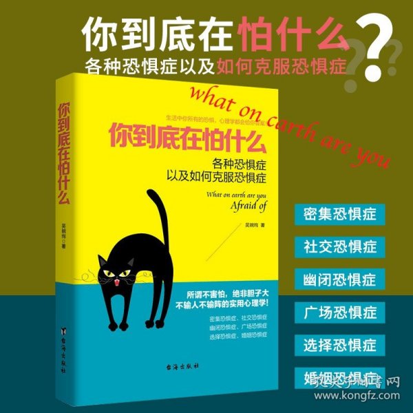吴婉绚:你到底在怕什么 各种恐惧症以及如何克服害羞与社交焦虑症恐惧症障碍心理学书籍惧动力走出孤独与内心的恐惧对话习惯逃避