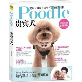 Poodle 贵宾犬