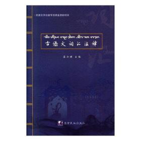 古傣文词汇注译岳小保  书社会科学书籍