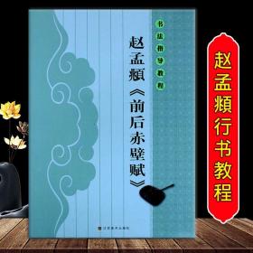 书法指导教程：赵孟頫《前后赤壁赋》