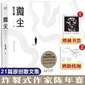 微尘（易中天感动推荐；陈年喜非虚构故事集；卑微如尘，也要热烈地活着。）