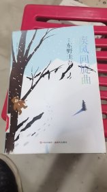 东野圭吾风雪系列（增订版）！