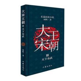 大宋王朝：天下布武 何辉 著 从小说中品读历史轨迹、文化生活和世道人心 “新史家小说流”