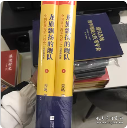 龙旗飘扬的舰队：中国近代海军兴衰史