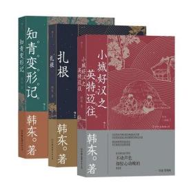 年代三部曲3册套装 韩东著 扎根+知青变形记+小城好汉之英特迈往 中国现当代小说华语文学书籍