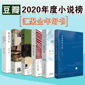 豆瓣2020年度中国文学小说类 TOP 10 共计6本 （小行星掉在下午 流溪 逍遥游 夜行货车 夜晚的潜水艇 仙症）