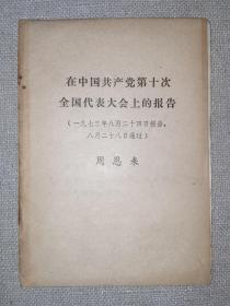 在中国共产党第十次全国代表大会上的报告