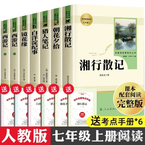 白洋淀纪事 名著阅读课程化丛书（统编语文教材配套阅读）七年级上