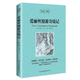 正版全新爱丽丝漫游奇境 中英对照《飘》飘中英文双语版 中英对照版英汉对照中英文双语版经典世界名著 外国文学长篇小说英文版原版英语读物初英汉世界名著