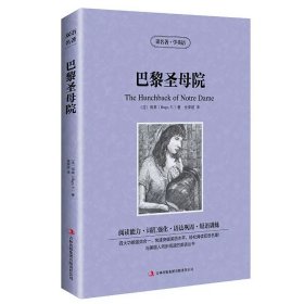 正版全新巴黎圣母院 中英对照读名著学英语 神秘岛凡尔纳 英文原版中文版中英文对照英汉双语英语读物青少青少年版初高中小学生阅英汉世界名著