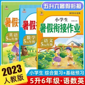 新版五年级数学暑假作业部编人教版5升6年级暑假衔接作业（复习+预习）