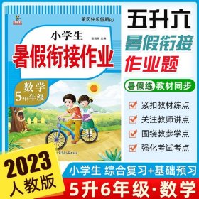 新版五年级数学暑假作业部编人教版5升6年级暑假衔接作业（复习+预习）