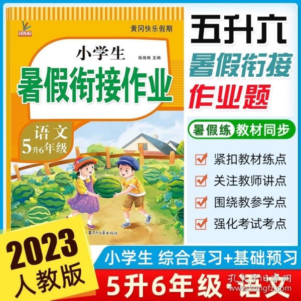 新版五年级数学暑假作业部编人教版5升6年级暑假衔接作业（复习+预习）