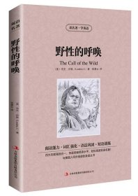 正版全新野性的呼唤 中英对照读名著学英语 神秘岛凡尔纳 英文原版中文版中英文对照英汉双语英语读物青少青少年版初高中小学生阅英汉世界名著