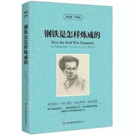 正版全新钢铁是怎样炼成的 中英对照读名著学英语 神秘岛凡尔纳 英文原版中文版中英文对照英汉双语英语读物青少青少年版初高中小学生阅英汉世界名著