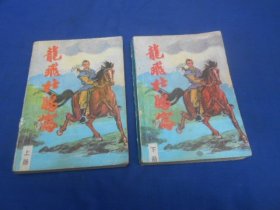 龙飞杜鹃窝（上下 2册全）肖逸 著  作家出版社  一版一印（内页干净无字画，品相还不错）瑕疵之处请看实物书影，免争议