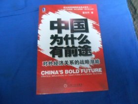 中国为什么有前途：对外经济关系的战略潜能（翟东升 著 / 机械工业出版社） 小16开本，平装书。品相好.