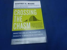 CROSSING THE CHASM 跨越鸿沟（不认识外文，书名、作者、出版社等等以实物图片为准，请书友自鉴）