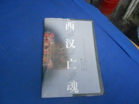 西汉亡魂 ——马王堆汉墓发掘之谜    岳南 著   新世界出版社（私藏，扉页有个贴纸。内有印章。内页干净，无字无画。超低价出售！）瑕疵之处请看实物书影，免争议