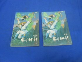 鬼堡神针（上下 全2册）吉龙 著 / 北岳文艺出版社  一版一印（内页干净无字画，品相不错）瑕疵之处请看实物书影，免争议