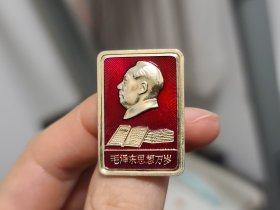 毛主席像章 2343 小胸章（中国人民解放军 空军-546部队）