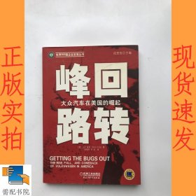 峰回路转：大众汽车在美国的崛起/世界500强企业发展丛书