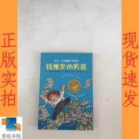 钱堆里的男孩：大卫·少年幽默小说系列