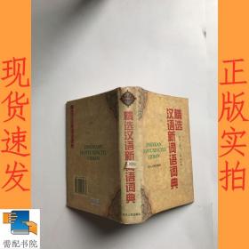 精选汉语新词语词典