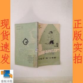 大电子和小专家