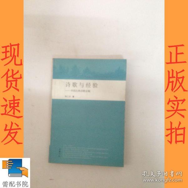 诗歌与经验:中国古典诗歌论稿